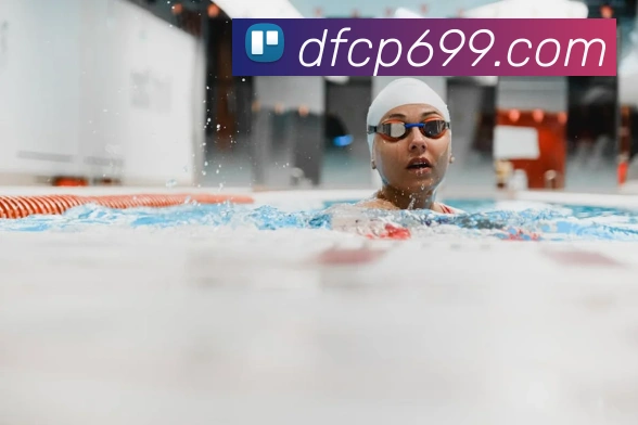 巅峰国际服务体系